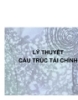 Lý thuyết : Cấu trúc tài chính