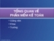 TỔNG QUAN VỀ PHẦN MỀM KẾ TOÁN