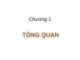 Bài giảng Quản trị tài chính - Chương 1: Tổng quan