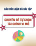 Câu hỏi luận và bài tập môn Chuyên đề tự chọn Tài chính vi mô