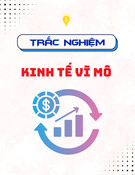 240 câu hỏi trắc nghiệm Kinh tế vĩ mô